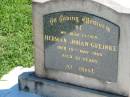 
Herman Johan GREINKE
19 May 1969, aged 63
Mount Beppo Apostolic Church Cemetery
