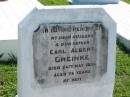 
Carl Albert GREINKE
24 May 1954, aged 76
Mount Beppo Apostolic Church Cemetery
