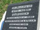 
Otto Henry DARGUSCH
(father of Irene, Victor, Raymond, Stella)
8 Feb 1981, aged 83
Mount Beppo Apostolic Church Cemetery

