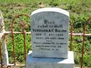 
Hermann A.C. BULOW,
born 7 Oct 1873 died 24 Sept 1902;
Mt Beppo General Cemetery, Esk Shire
