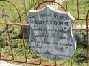 
August C.H. DUMKE,
born 10 Sept 1879 died 12 Feb 1932;
Mt Beppo General Cemetery, Esk Shire
