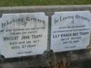 
Vincent John TRAPP,
husband father son brother,
died 24 Jan 1937 aged 27 years;
Lily KNACK (nee TRAPP),
wife mother grandmother great-grandmother,
died 29 Sept 2002 aged 93 years;
Mudgeeraba cemetery, City of Gold Coast
