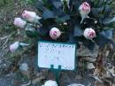 
Rainer EMPEN;
Mudgeeraba cemetery, City of Gold Coast
