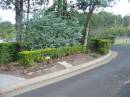 
Mudgeeraba cemetery, City of Gold Coast
