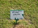 
Michael WALLACE;
Mudgeeraba cemetery, City of Gold Coast
