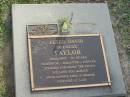
Peter David (Delmere) TAYLOR,
died 1997 aged 56 years,
loved by Leonore Rosa & Melissa;
Lenore Rosa TAYLOR,
died 20-2-2005 aged 68 years,
remembered by Katrina & Melissa;
Mudgeeraba cemetery, City of Gold Coast
