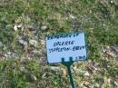 
Valerie STAPLETON-BREEN;
Mudgeeraba cemetery, City of Gold Coast
