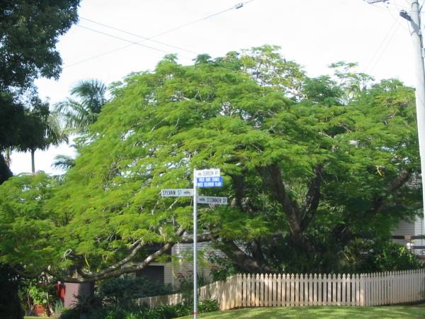 Murwillumbah Catholic Cemetery, New South Wales  | 