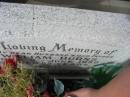 
William BURNS,
husband father,
died 9 June 1959 aged 55 years;
Murwillumbah Catholic Cemetery, New South Wales
