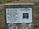 
Patrick Joseph COLLINS
26 Jan 1948
86 yrs

Elizabeth Ellen COLLINS
19-11-76
93 yrs

Mutdapilly general cemetery, Boonah Shire
