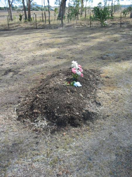 Nobby cemetery, Clifton Shire  | 