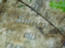
Ada Hilda,
wife of Duncan MCKINNON,
died 1 March 1911 aged 21 years;
North Tumbulgum cemetery, New South Wales
