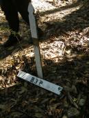 
North Tumbulgum cemetery, New South Wales
