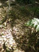 
North Tumbulgum cemetery, New South Wales
