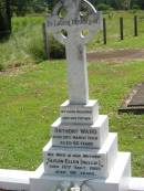 
Anthony WARD, husband father,
died 29 March 1958 aged 65 years;
Susan Ellen (Nellie), wife mother,
died 12 Sept 1985 aged 90 years;
St James Catholic Cemetery, Palen Creek, Beaudesert Shire
