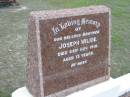 
Joseph WILKIE, died 23 Nov 1912 aged 13 years, brother;
Parkhouse Cemetery, Beaudesert
