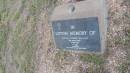 
Michael Edward MULLINS
d: 7 May 1988 aged 17

Peak Downs Memorial Cemetery  Capella Cemetery
