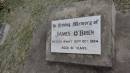
James OBRIEN
d: 30 Oct 1984 aged 81

Peak Downs Memorial Cemetery  Capella Cemetery
