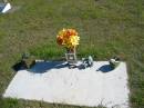 
brother;
Pimpama Island cemetery, Gold Coast
