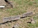 
Catherine B. FALLON,
1878 - 1939;
Patrick FALLON,
1875 - 1952;
Pine Mountain Catholic (St Michaels) cemetery, Ipswich
