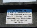 
Bradley Mary SIPPEL
30 Mar 1962, aged 6 12 months
Plainland Lutheran Cemetery, Laidley Shire
