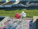 
Emily Yonippin ROBE,
1888 - 1955;
Elizabeth Linda ROBE,
1919 - 1967;
Polson Cemetery, Hervey Bay
