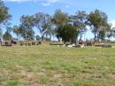 
Rosevale St Pauls Lutheran cemetery, Boonah Shire
