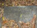 
Frank D. ELLIOTT,
died 12 Dec 1957;
Bald Hills (Sandgate) cemetery, Brisbane
