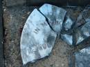 
[fragments, not from this grave?];
Bald Hills (Sandgate) cemetery, Brisbane
