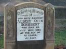 
Albert Otto SCHUBERT,
brother,
died 20 May 1955 aged 70 years;
Bald Hills (Sandgate) cemetery, Brisbane
