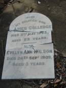 
James WILSON,
father,
died 2 Feb 1902 aged 47 years;
Jane Colledge,
mother,
died 26 Jan 1932 aged 78 years;
James Colledge,
son,
died 2 May 1903 aged 23 years;
Evelyn Ann WILSON,
died 24 Sept 1909 aged 3 years;
Gertrude Jane,
wife of Arthur CRUSE,
died ?? Oct 1905 aged ?3 years;
Evelyn WILSON,
died 25 Nov 1909? aged 22 years;
Bald Hills (Sandgate) cemetery, Brisbane
