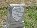 
Garnet Dudley HILLIER
Jun 10 1910 to May 9th 1926

Sherwood (Anglican) Cemetery, Brisbane
