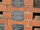 
Geoffrey Neil WILLIAMS
21-1-94 aged 66 yrs

Sherwood (Anglican) Cemetery, Brisbane
