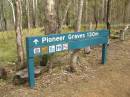 
Spicers Gap, Boonah Shire
