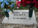 
Gordon James ELLIOTT
13 May 2005
Stone Quarry Cemetery, Jeebropilly, Ipswich
