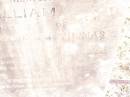 
William,
second son of John & Jane Ann THOMAS of Warwick,
died at Laura River Palmer Road
20 June 1878
aged 14 years 4 months;
Frederick,
infant son,
aged 2 days;
Swan Creek Anglican cemetery, Warwick Shire

