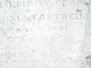 
Harriet Mahala EASTWELL,
died 4 March 1891 aged 29 years;
Rupert John,
son,
died 8 June 1891 aged 3 years 9 months;
Swan Creek Anglican cemetery, Warwick Shire
