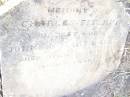 
Charles Fitzroy,
youngest son of John & Mary DARLEY,
died 26? April 1885 aged 2 years;
Swan Creek Anglican cemetery, Warwick Shire
