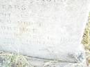 
Maude,
daughter of Louis & Jane LEWIS,
died 10 Feb 1885 aged 4 years 7 months;
Jane,
wife,
died 24 Dec 1885 aged 29 years;
Ada Florence,
daughter,
died Clermont 18 Oct 1887
aged 5 years 4 months;
Swan Creek Anglican cemetery, Warwick Shire
