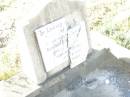 
Clarence EASTWELL,
brother,
died 1 Feb 1944 aged 48 years;
Swan Creek Anglican cemetery, Warwick Shire
