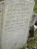 
Thomas BURKE,
died 11 March 1911 aged 66 years;
Mary,
wife,
died 28 March 1902 aged 48 years;
Tallebudgera Catholic cemetery, City of Gold Coast
