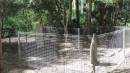 
Tamborine Plunkett Road Cemetery (Cedar Creek)
