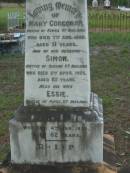 
Mary CORCORAN
(of Kings Co Ireland)
7 Aug 1888
aged 31

husband
Simon (CORCORAN)
(of Queens Co Ireland)
aged 82

his wife 
Essie (CORCORAN)
(of Kings Co Ireland)
4 Jan 1923
aged 82

Tamborine Catholic Cemetery, Beaudesert

