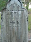 
John William Haynes EVANS
2 Aug 1888
aged 45

infant son Ambrose
23 Aug 1880
aged 10 months

Tamborine Catholic Cemetery, Beaudesert

