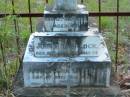 
Sarah KENNEDY
12 Jul 1898
aged 48

John P SHERLOCK
26 Apr 1908
aged 54

Annie Maria SHERLOCK
1 Jul 1921
aged 71

Sarah H KENNEDY
12 Jul 1897
aged 54

John P SHERLOCK
6 Apr 1908
aged 52

Annie Maria SHERLOCK
1 Jul 1921
aged 71

John Patrick KENNEDY
22 May 1931
aged 59

Tamborine Catholic Cemetery, Beaudesert

