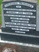 
Samuel John TODD
d: 28 Nov 1960, aged 70
Florence Wilhelmina TODD
17 Oct 1991, aged 96
Tamrookum All Saints church cemetery, Beaudesert 
