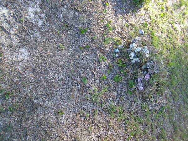 Tea Gardens cemetery, Great Lakes, New South Wales  | 