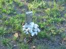 
Tea Gardens cemetery, Great Lakes, New South Wales
