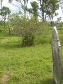
Tiaro cemetery, Fraser Coast Region
