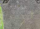 
Emily,
daughter of John & Mary ELLIS,
died ???? 1889;
Tiaro cemetery, Fraser Coast Region
